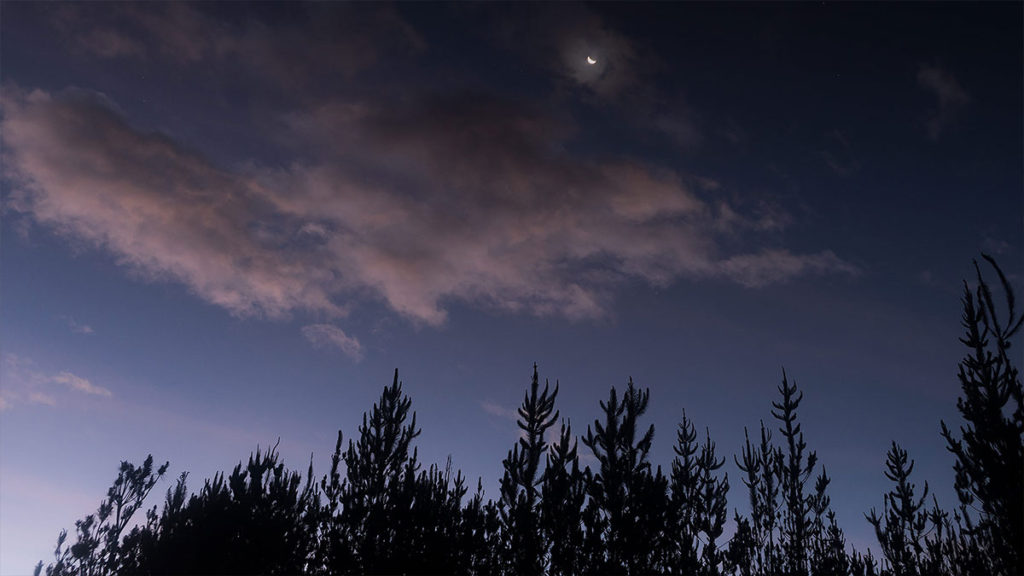 crescent-moonlit-evening